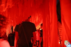 Polymorphe * (34 Diapositives)